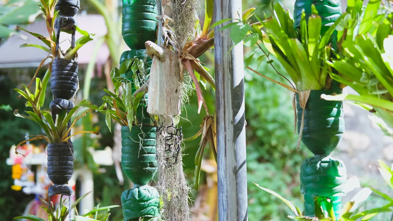 Pot Tanaman dari Botol Plastik Bekas