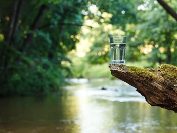 Tips dalam Menjaga Kesehatan Ginjal dengan Air Minum Berkualitas