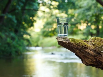 Jangan Salah Pilih Ketahui Ciri Sumber Air Minum Terbaik