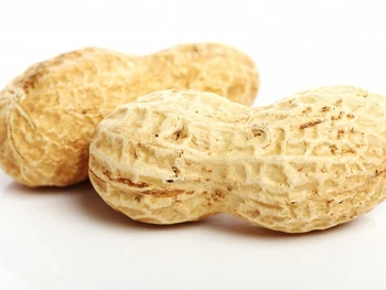 6 Jenis Kacang untuk Diet dan Manfaatnya untuk Kesehatan