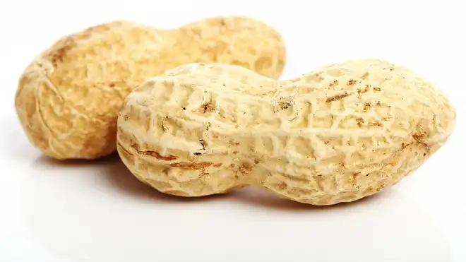 6 Jenis Kacang untuk Diet dan Manfaatnya untuk Kesehatan