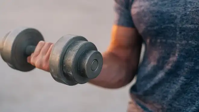 8 Cara Menaikkan Massa Otot Wanita dan Pria, Mudah dan Cepat