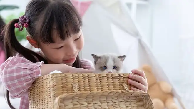10 Manfaat Memelihara Hewan di Rumah untuk Kesehatan, Simak!