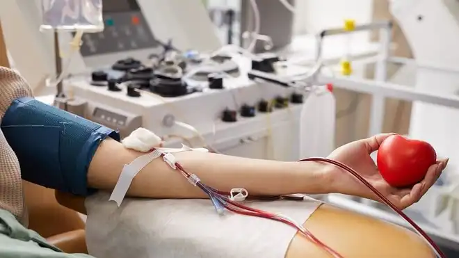 Hari Donor Darah Sedunia, Begini Sejarah dan Tujuannya!