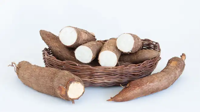 7 Manfaat Singkong Rebus yang Kaya Nutrisi untuk Kesehatan