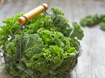 Wajib Tahu, Ini 7 Manfaat Sayur Kale untuk Kesehatan!