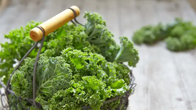 Wajib Tahu, Ini 7 Manfaat Sayur Kale untuk Kesehatan!