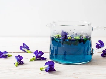 Cara Membuat Teh Bunga Telang: 4 Resep Sehat dan Segar