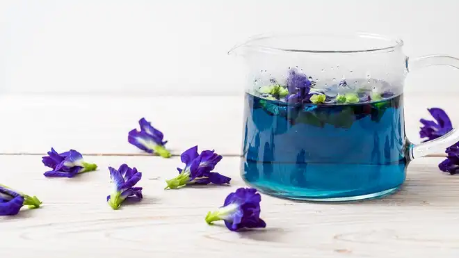 Cara Membuat Teh Bunga Telang: 4 Resep Sehat dan Segar