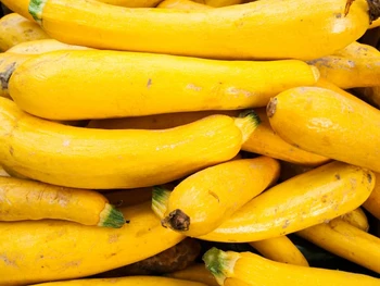 8 Manfaat Timun Suri untuk Kesehatan, Yuk Ketahui di Sini!