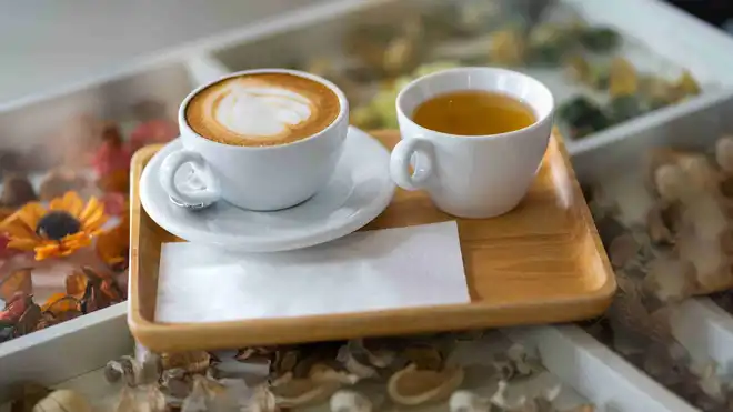 6 Rekomendasi Minuman untuk Darah Rendah, Ada Pantangannya!