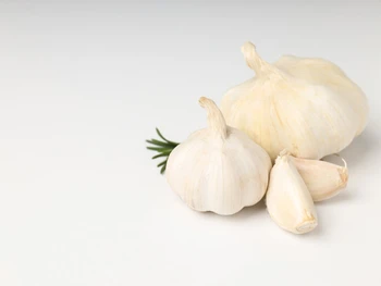 Cara Menanam Bawang Putih di Botol AQUA, Mudah dan Hemat!