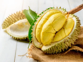 20 Manfaat Buah Durian untuk Kesehatan Tubuh