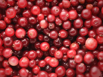 7 Manfaat Jus Cranberry Bagi Kesehatan Bantu Jaga Gula Darah
