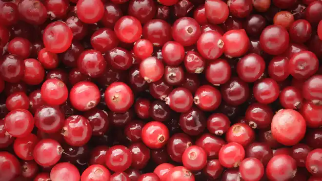 7 Manfaat Jus Cranberry Bagi Kesehatan Bantu Jaga Gula Darah