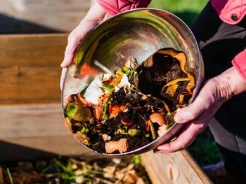 How To Dispose of Waste Properly? Here Are The Tips!