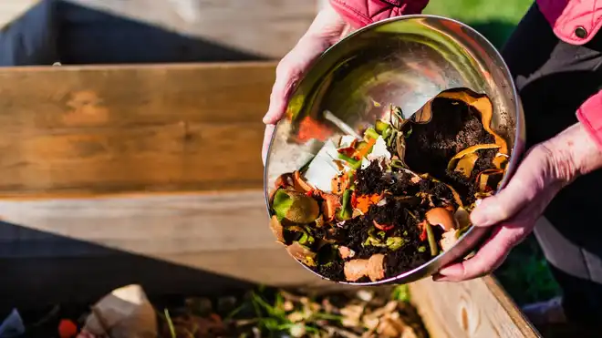 Bagaimana Cara Membuang Sampah dengan Baik? Ini Tipsnya!