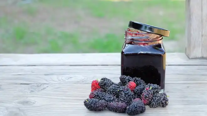 9 Manfaat Buah Blackberry untuk Kesehatan Tubuh Secara Alami