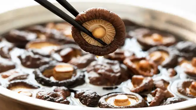 Inilah 10 Manfaat Jamur Shitake bagi Kesehatan, Catat!