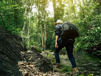 7 Tempat Hiking di Bandung untuk Pemula dan Pecinta Alam
